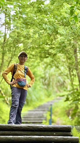 多元化的文山森林公園|天空步道|趣探險之丘|峯花雪月2834956