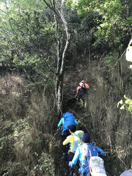 來挑戰吧~油霞麥縱走1362531