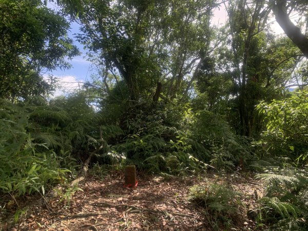 20250531屏東虻彈山東峰2803169