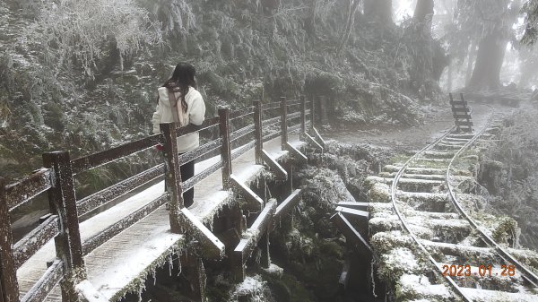 霧茫茫雪白冰封世界-太平山首度追霧淞成功202301282009616