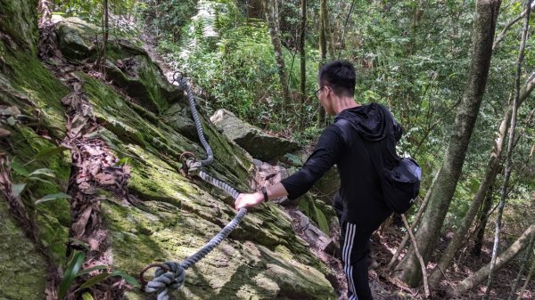 蝴蝶谷瀑布步道｜唐麻丹山登山步道 (松鶴部落上)1900090