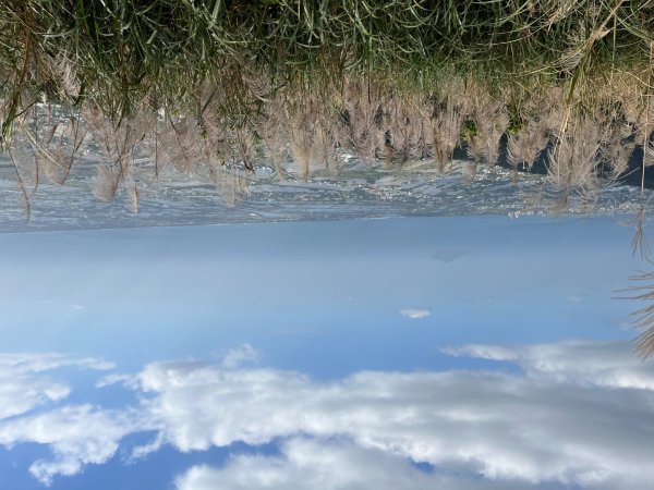 20231118_鵲子山步道（宜蘭小百岳）2763001