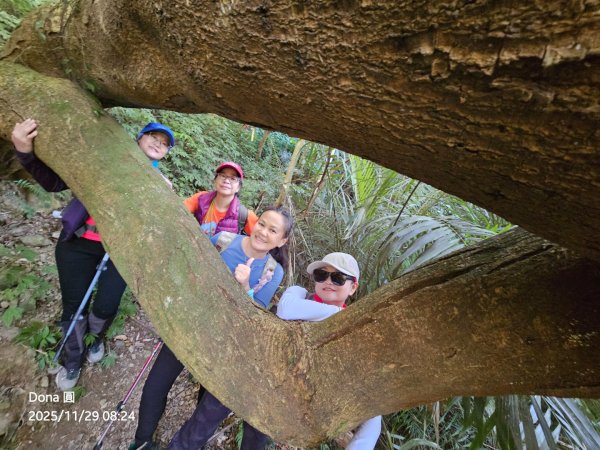 逆走逐鹿卡保環型路線全段全紀錄2949837