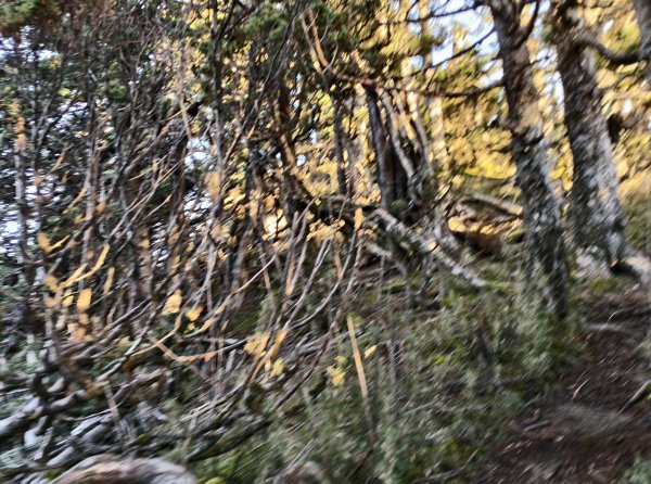 北一段(08/14)陶塞峰 2025_0906~132886925