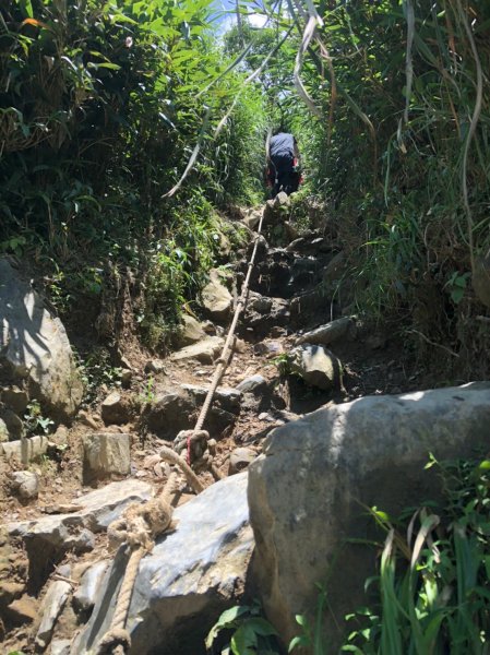 療癒系抹茶山，小百岳三角崙山，五峰旗瀑布1029902