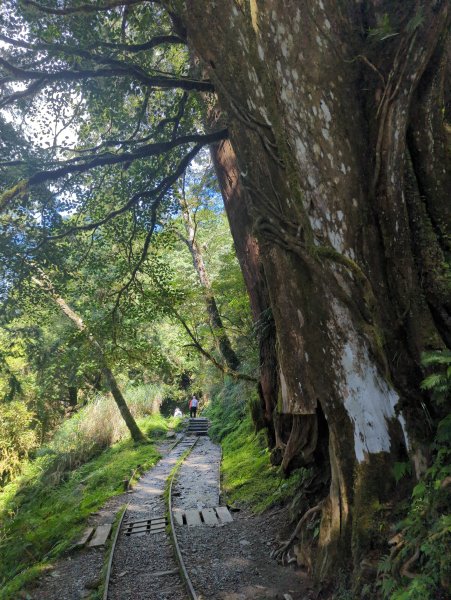 2025.09.28－見晴懷古步道2898759