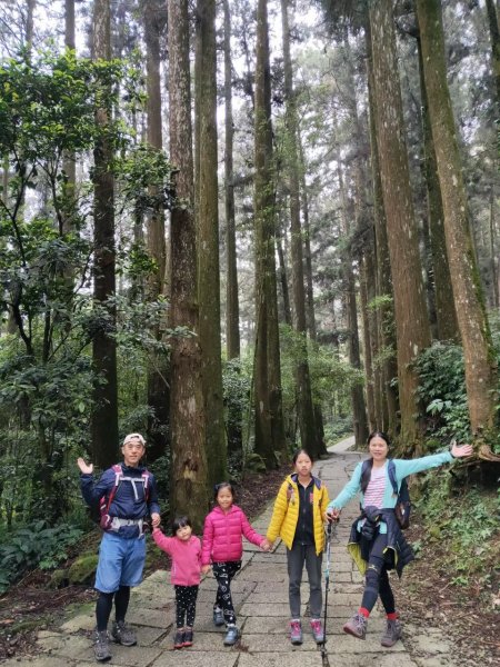 小百岳(60)-奮起湖大凍山-20200412~【2020全家總動員~28分之11】1716489