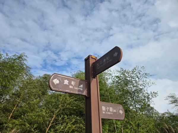 雲嘉六連峰（小百岳）2927997