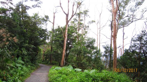 礁溪 - 聖母步道  煙雨故人來 ... 222694