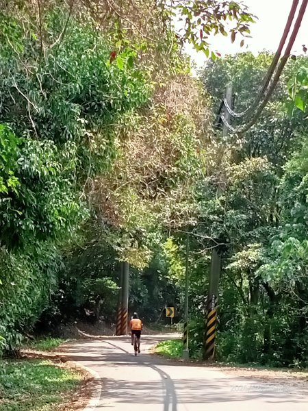 【臺北大縱走5 第二回合】碧山巖→忠勇山越嶺步道→金龍產業道路→圓明寺、鄭成功廟步道→文間山→劍潭山2472397