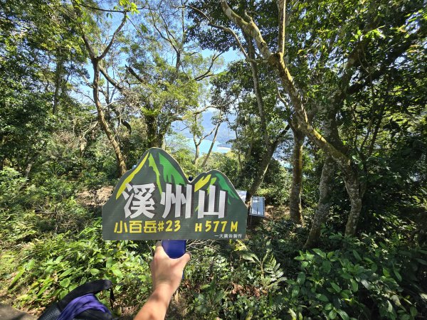 20260314 小百岳-桃園大溪溪洲山3050627