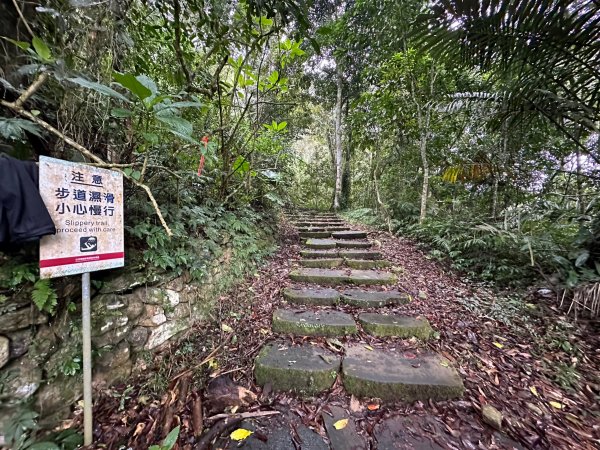 很硬的水社大山很幸運看到大景2388161