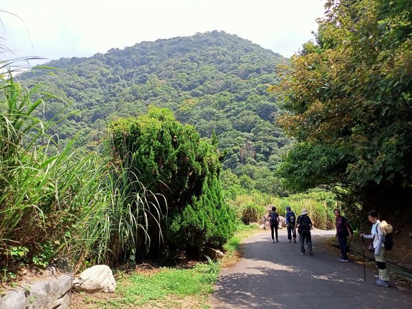 2-2 紗帽路旁磺溪祕境→白雲瀑布→陽明山前山公園→陽明醫院舊址1825875