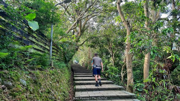 《台北》城市晨運｜虎山親山自然步道（松山慈惠堂）202505222795759