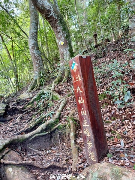 【台中和平】在虐腳的陡上中持續前進。 谷關七雄-八仙山主峰步道2367685