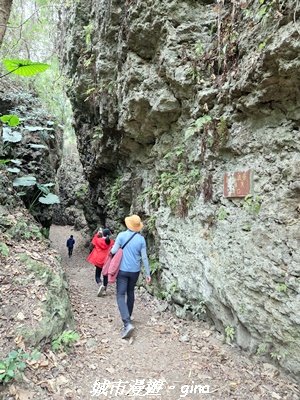 【高雄田寮】小百岳大崗山x大崗山磐龍峽谷步道3013145