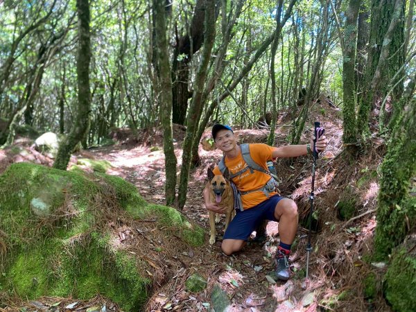 東埔山+東埔大草原步道【這裡的夏天冷颼颼】2826523