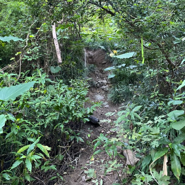 20251214_女仍山（屏東小百岳）2968700