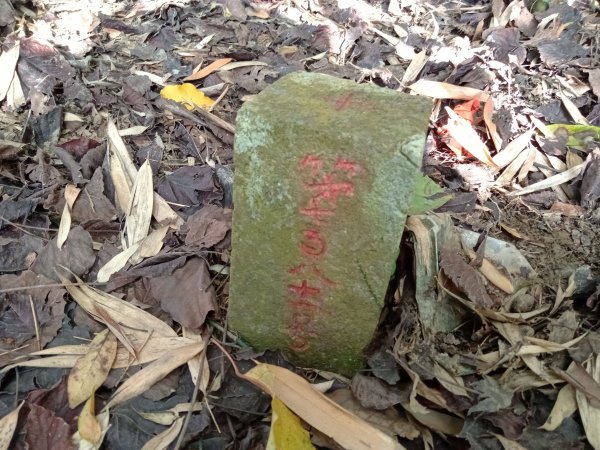 20220226台中和平尾文坑山、三叉坑山、穿龍山、大湖桶山基石1619041