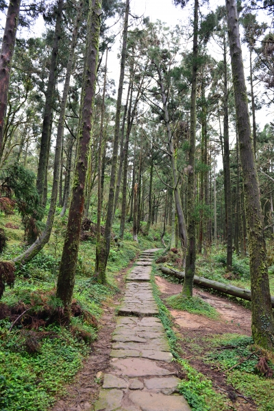 陽明山東西大縱走之風櫃口→小油坑98475