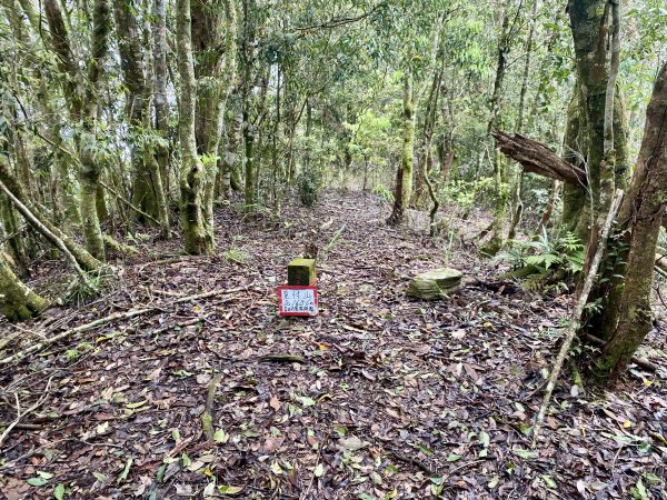 日據六龜警備道南段兩天一夜逍遙遊2763987