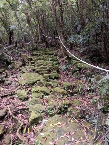 雙溪區大埤遺址東林寺+大埤古道+572峰去回2784168