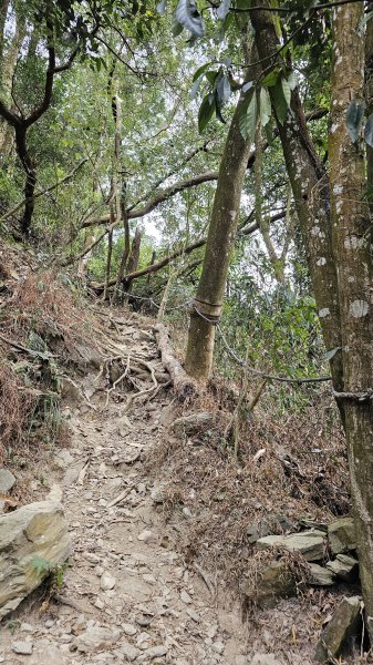 【撤退是智慧而非勇氣】17訪魔王小百岳-尾寮山。2995103