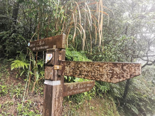 雨中漫步北部山岳-二格山、土庫岳、象山道1136696