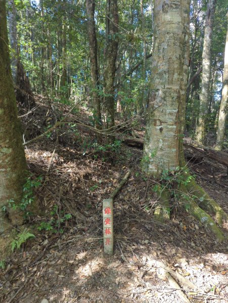 2025.12.06－北坑山步道&雪見遊憩區2956229