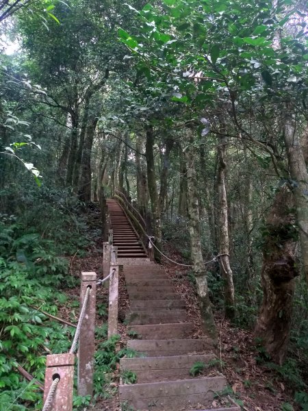 馬那邦山0型路線1114130