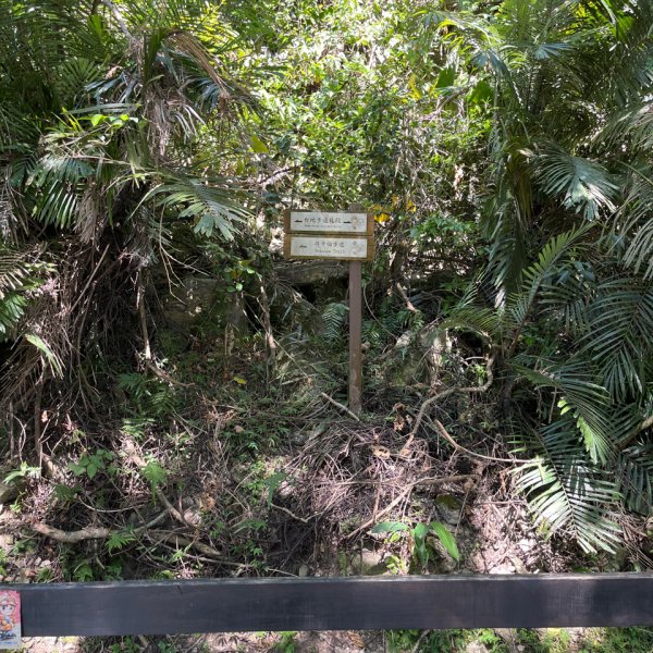 20251011_立霧山認證點（花蓮小百岳）2941269