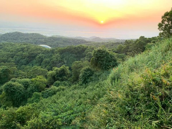 王田山與大肚山封面