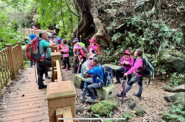 鳴鳳山古道群走鳴鳳山 三湖山吃仙草冰2923300