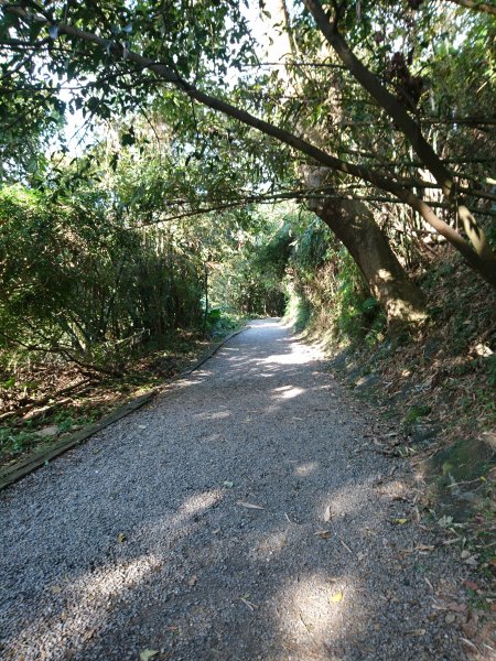 天母水管路步道(天母古道)773819