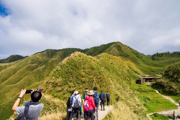 抹茶山1508479