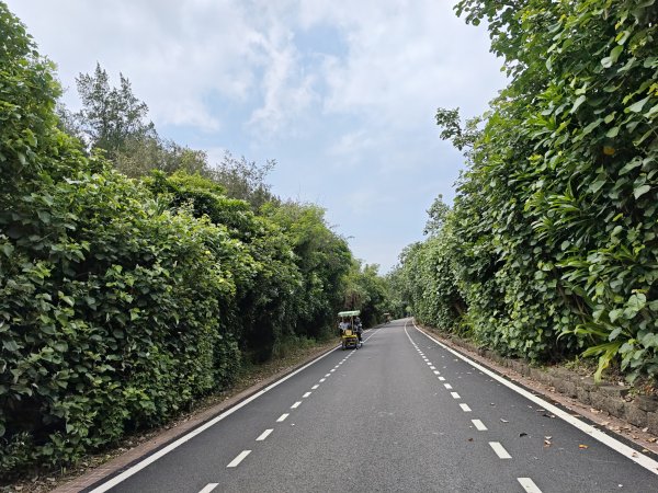 [霄裡好風光，運動樂悠遊！-4/10] 2025_0608 新屋綠色走廊自行車道2808153