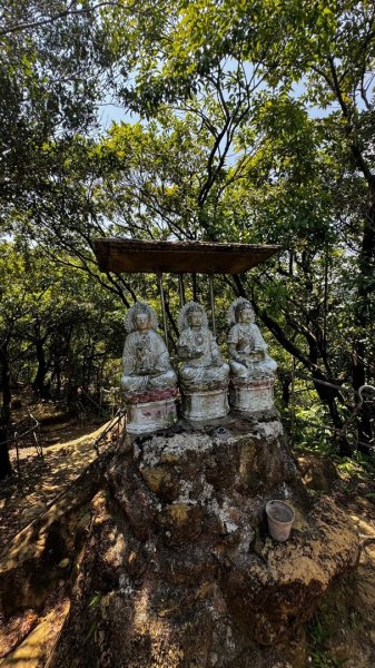 孝子山、普陀山、慈母峰賞鹿子野百合O走2592973