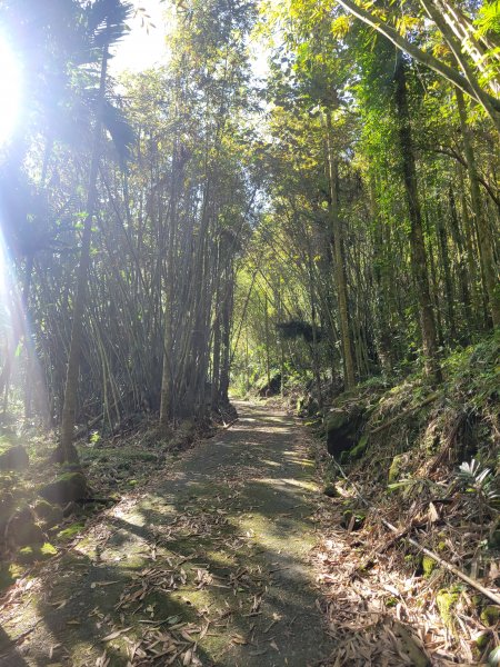 【台南 | 關仔嶺】九龍山上大棟山O型走1679776