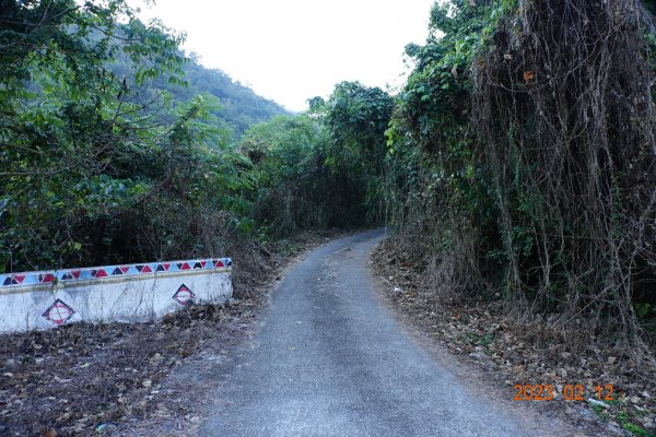 高雄 那瑪夏 頂河表湖山(河表湖山、霍比亞湖山)2032143