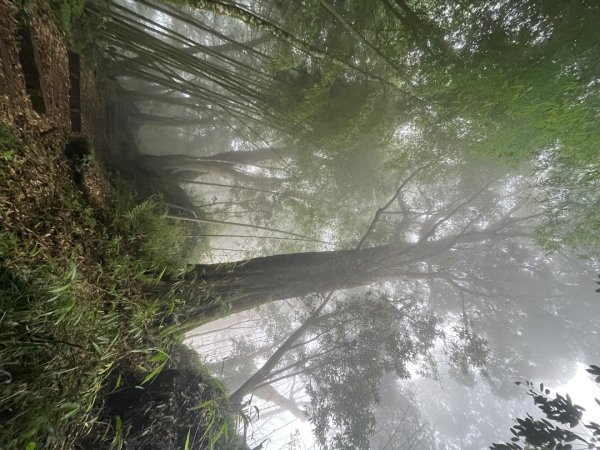 20230924_大湖尖山、大凍山（嘉義縣小百岳）2762746