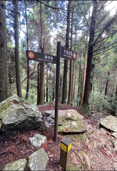 觀霧-榛山步道2926092