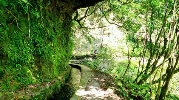 番王厝,番婆厝,王子厝,公主厝2827593