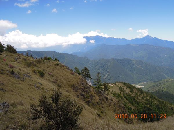 20180827-28_雪山主東396317