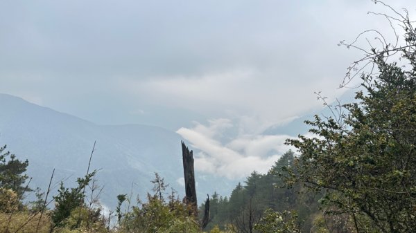 東埔-排雲-玉山西峰-玉山主峰