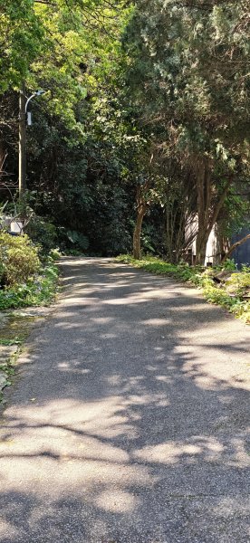 2026-0315 桃園虎頭山3015944