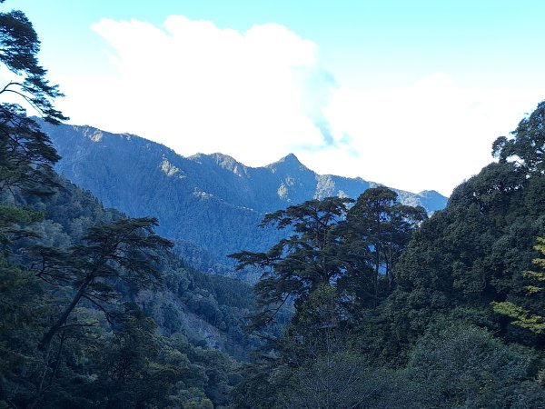 大雪山森林遊樂區之烏石坑山+山椒山(210林道)202401102400544