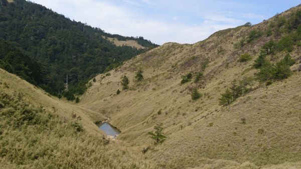 合歡北峰+小溪營地318261