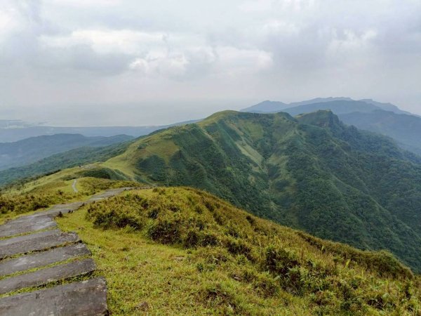 🌈11/2草嶺古道~桃源谷~灣坑頭山~大里天公廟✨FB：熊熊趴爬走🌈2928841