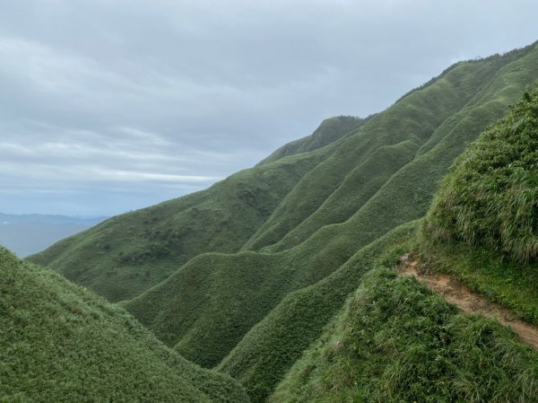 宜蘭聖母山莊步道(抹茶山)1079023