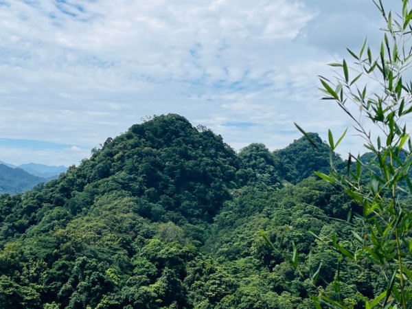 1140618鳴鳳古道｜錫隘-雲洞宮2815373